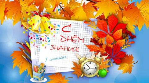 Profile picture for user Elena Akhunzianova